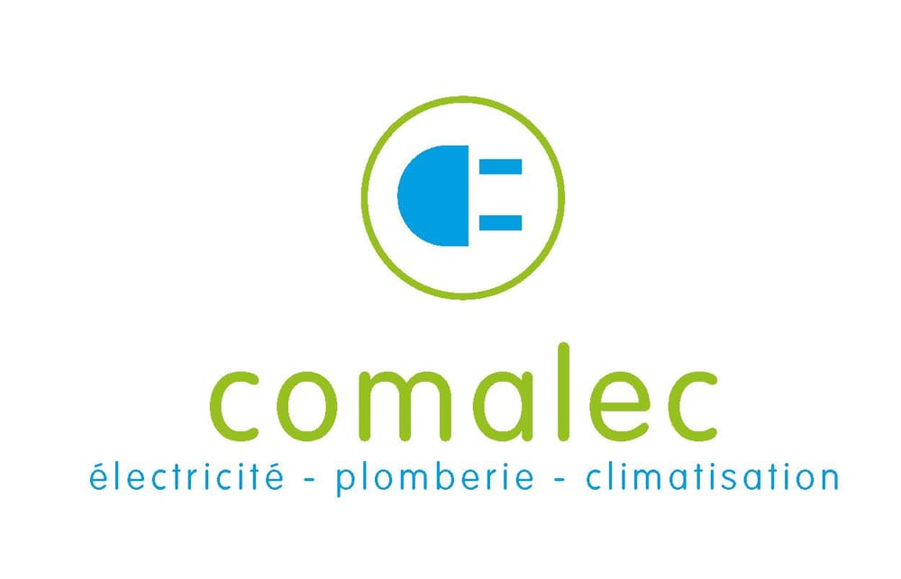 Looking Back on a Success - Japan Festival comalec logo